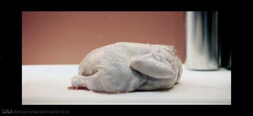 鸡剃骨视频,轻松解锁美味佳肴的秘密