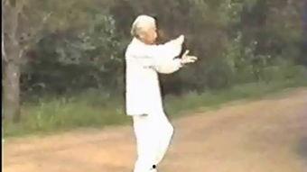 太极拳28式视频教学,轻松入门，掌握养生之道