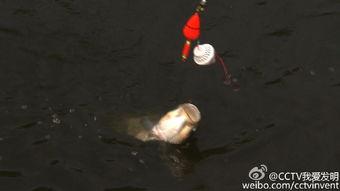 我爱发明钓鱼视频大全,我爱发明钓鱼视频大全精选集锦