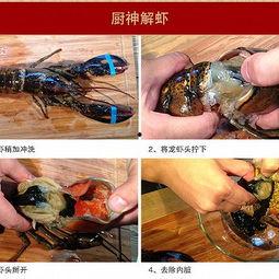 虾走路视频,揭秘虾类独特的陆地行走之谜