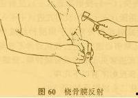 桡骨膜反射视频,动作解析与临床应用
