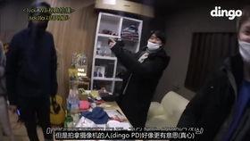 dingo视频,跟随Dingo视频踏上一场惊心动魄的自然之旅